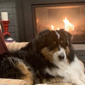 Meet your Posher, Judith